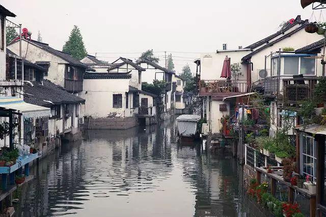 植物大战僵尸